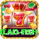snake head fish Turbo v4.7.5