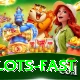 solana slots fast Pro1 v2.2.1