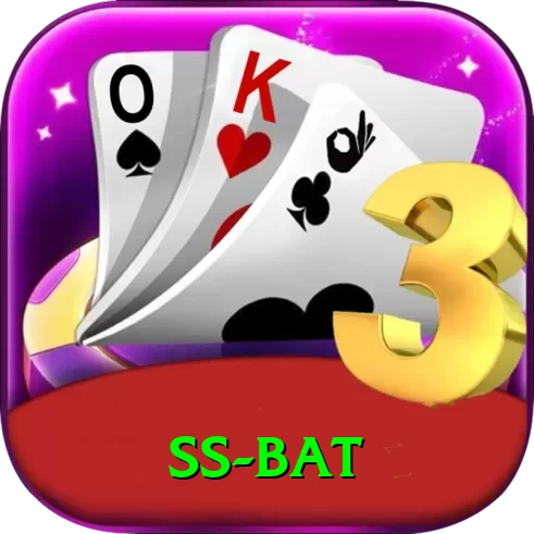 ss bat Pro Edition v2.1.1 - 2