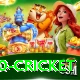 t20 cricket Master v4.3.5