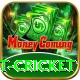test cricket Master Pro v3.3.2