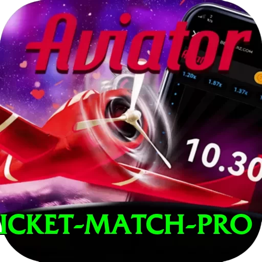 to day cricket match - Premium Edition v3.0.2 - 2