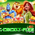 uc cricket Casino Official v4.2.1