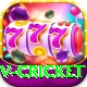 v cricket Pro1 v5.2.3