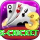 west indies cricket Premium Plus v1.8.2