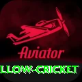 willow cricket Premium Edition v2.7.9