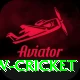 willow cricket Premium Edition v2.7.9