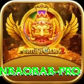 winbaobab Money Premium v2.4.8